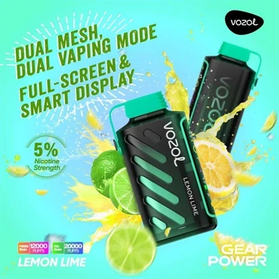 Колко дълго може да се използва Vozol Gear Power 20000?