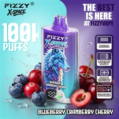 Fizzy 100K X Space: Не е нищо забележително за едно устройство да издържи дъл...