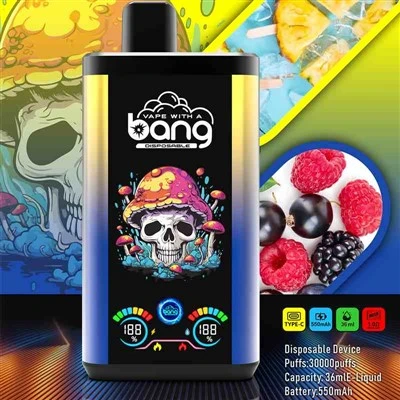 Bang 30000 Pro Dual Flast